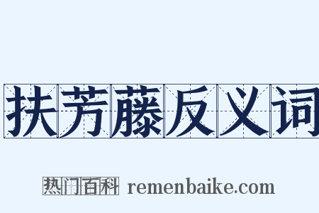 扶芳藤反义词是什么意思的图片